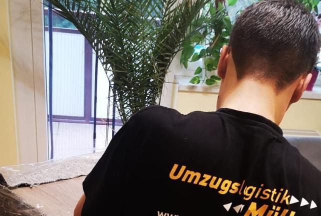 Preise für Ihren Studentenumzug in Hohendubrau